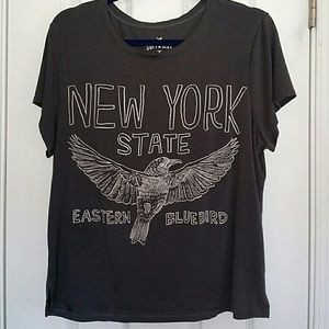 American Eagle Crop Top
